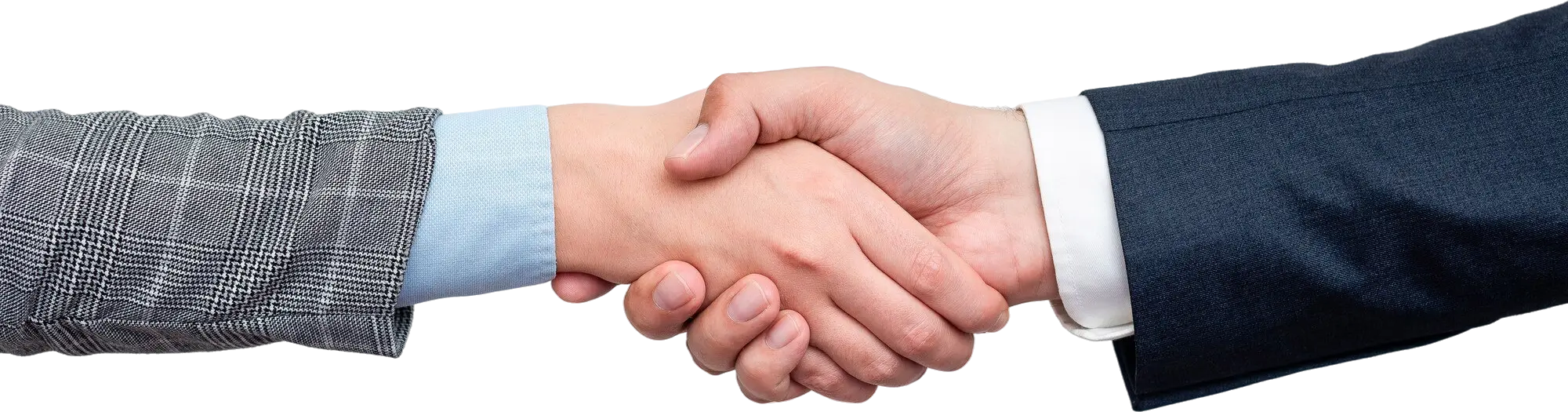 rankpage seo partner