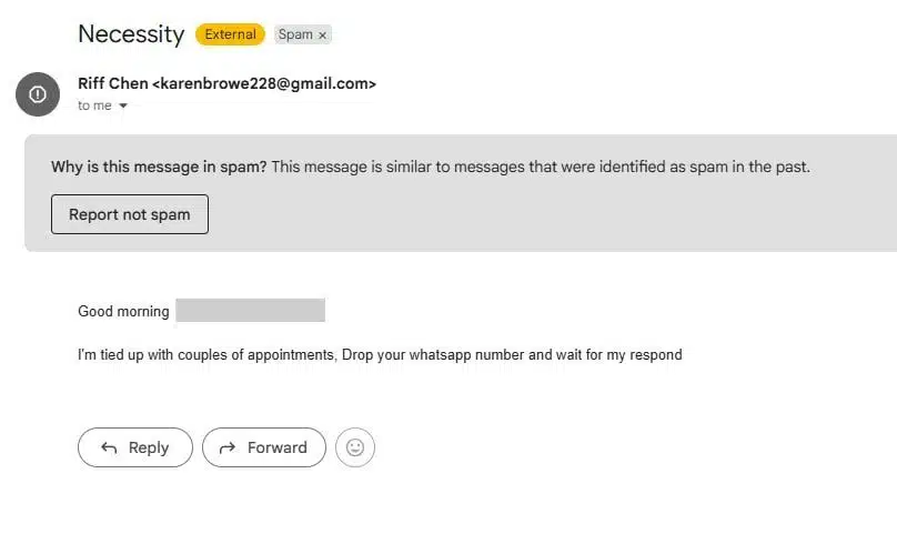 Photo of a scam email